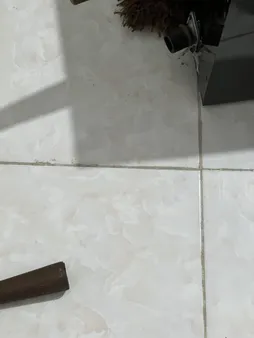 میز تلویزیون مدل BL0069