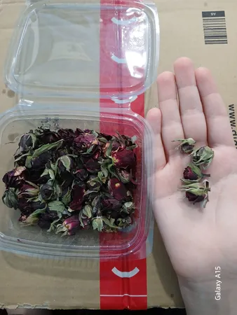 غنچه گل رز خشک مدل sanaz