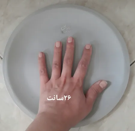 بشقاب تخت پیک نیک یزدگل کد 134