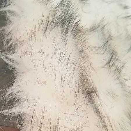فرش ماشینی تیگران مفشوو مدل wolf