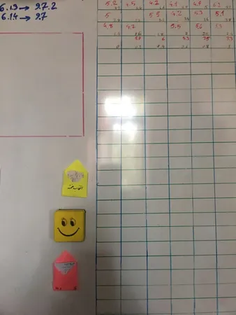 آهن ربا مدل CYL5x1 بسته 10 عددی