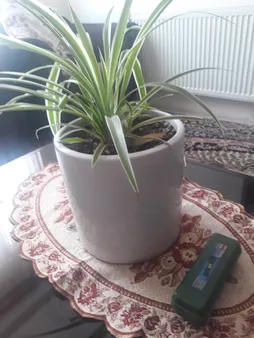 چراغ قوه مدل P.O.L 50000W