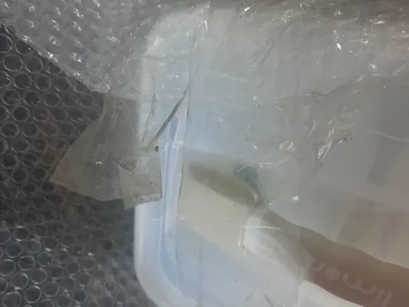 ست پیک نیک 6 نفره لیمون مدل ML103 کد 430