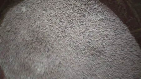 خاک بستر گربه تاینی کت مدل P1 وزن 10 کیلوگرم