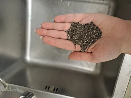 دانه چیا شمیم اشک گل - 1 کیلوگرم