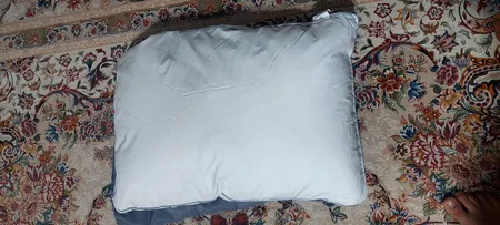 بالش آکسون مدل پر غاز topz