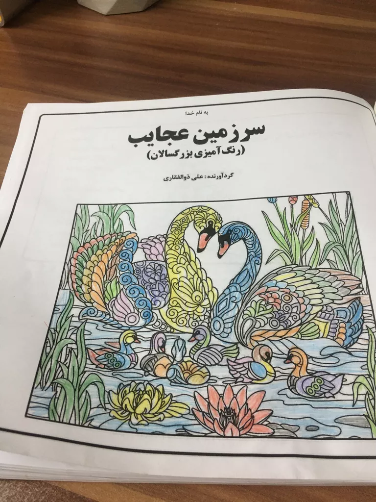 کتاب سرزمین عجایب رنگ آمیزی بزرگسالان اثر علی ذوالفقاری انتشارات جواهری