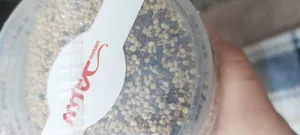 تجریه خرید کینوا 3 رنگ ممتاز سرمد - 400 گرم