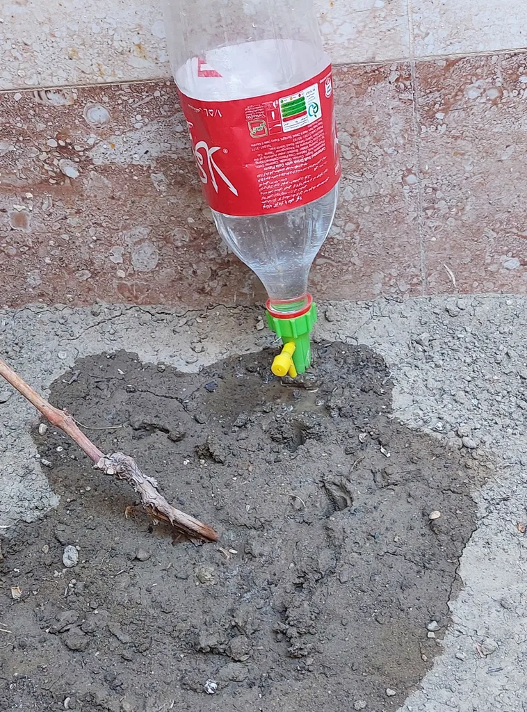 فیتیله آبیاری قطره ای مدل Cj121 مجموعه ۶ عددی