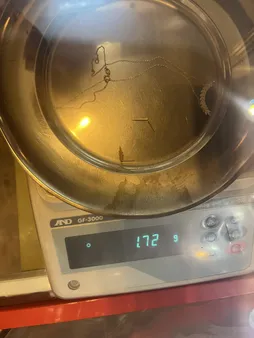 نیم ست طلا 18 عیار زنانه دُرج طرح گندم مدل DS11