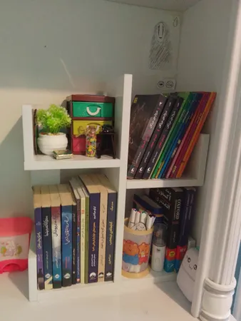 کتابخانه رومیزی مدل کاکتوس