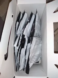 تجریه خرید پودر موبر ساپاژو مدل کیفی خانواده بسته 10 عددی