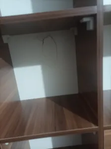 تجریه خرید کتابخانه مدل رویسان r10