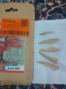 تجریه خرید بذر بنسای افرا قرمز ژاپنی سانیا سید مدل S3