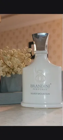 عطر جیبی  برندینی مدل Silver Mountain حجم 33 میلی لیتر