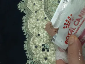 تجریه خرید غذای پوچ سگ رویال کنین مدل exigent وزن 85 گرم