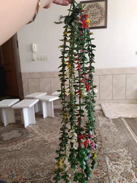 عکس ارسالی خریدار