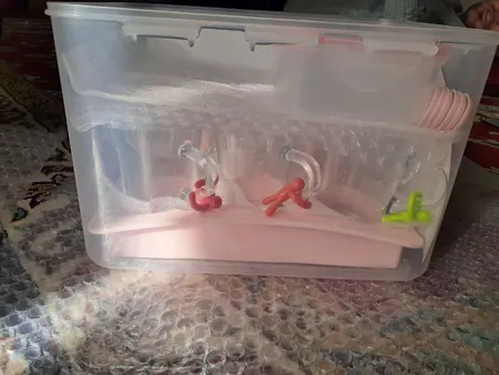 ست پیک نیک 6 نفره لیمون مدل ML103 کد 430