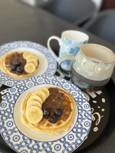 تجریه خرید وافل ساز سانیز مدل مینی سانی