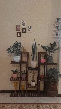 استند گل و گلدان مدل gol6