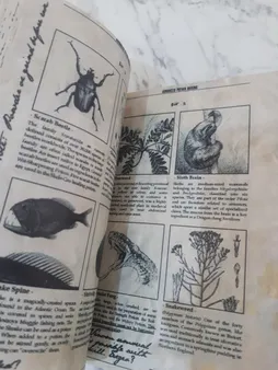 اسباب بازی زینتی مستر گرین مدل کتاب های مدرسه هری پاتر طرح معجون سازی شاهزاده دورگه