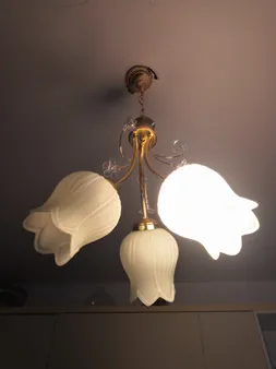 لوستر دیلایت طرح گیلاسی کد AZ1402/3-DLT780