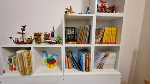 تجریه خرید شلف رومیزی چوبیکو مدل shelf450