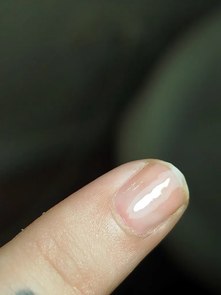 بیس کت سالن مدل 02