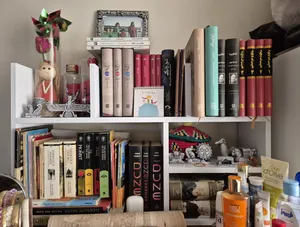 تجریه خرید کتابخانه رومیزی مدل دایان کد 250