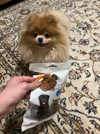 غذای تشویقی سگ ابیش مدل دنبلان خشک شده گوساله وبره وزن 100 گرم