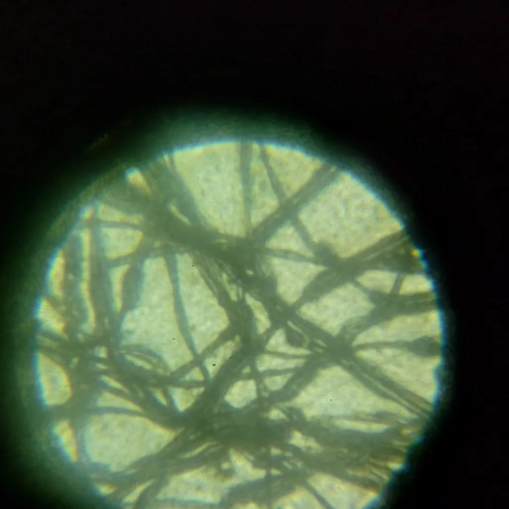 میکروسکوپ کامار مدل دانش آموزی LED NEW 2024