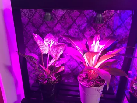 لامپ رشد گیاه 7 وات مدل TL1808