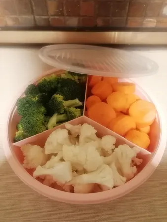 ظرف نگهدارنده غذا مدل نارون