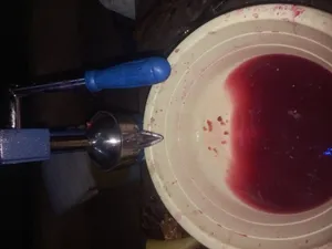 تجریه خرید آبمیوه گیر دستی بیتا کد 102