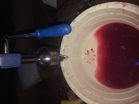 آبمیوه گیر دستی بیتا کد 102