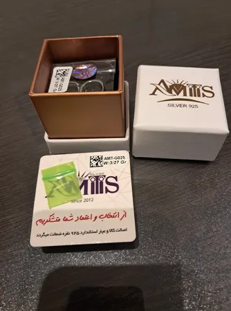 گوشواره نقره زنانه مدل AMT-G025