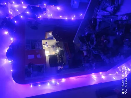 ریسه ال ای دی مدل سوزنی طول 10 متری