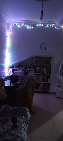 ریسه ال ای دی طرح برگ طول 5 متر