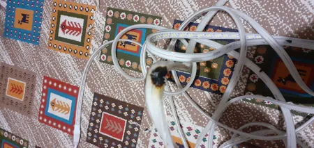 ریسه ال ای دی مدل شلنگی سوکت دار کد 5730 طول 10 متری