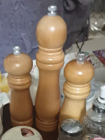 فلفل ساب و ادویه ساب مدل B01