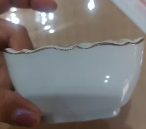 تجریه خرید اردوخوری لمونژ مدل 345