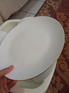 تجریه خرید سرویس غذا خوری 30 پارچه دینو مدل گرد