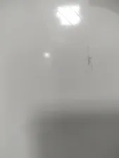 تجریه خرید تخته وایت برد مغناطیسی آسا بُرد مدل آلفا سایز 80×100 سانتی متر