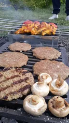 توری گریل مدل La-3040