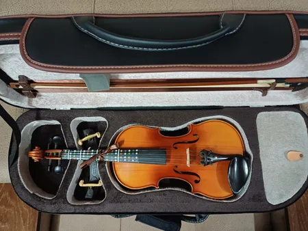 هاردکیس ویولن مدل MAGHSN