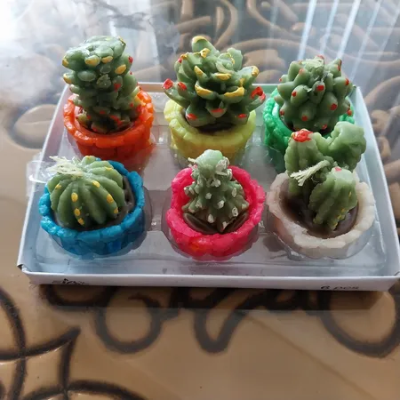 شمع طرح کاکتوس مجموعه 6 عددی