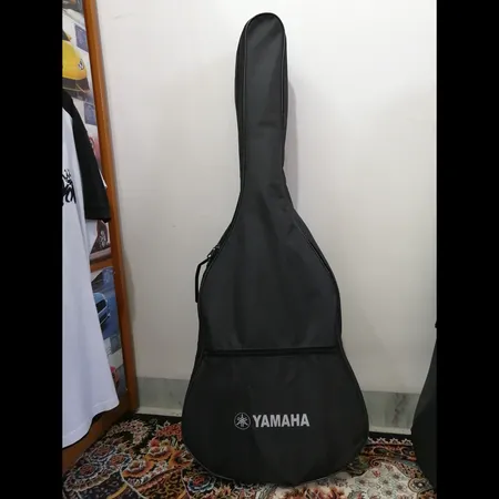 گیتار پارسی مدل M2