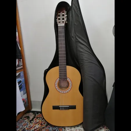 گیتار پارسی مدل M2