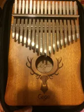 تجریه خرید کالیمبا سگا مدل CKc00-C