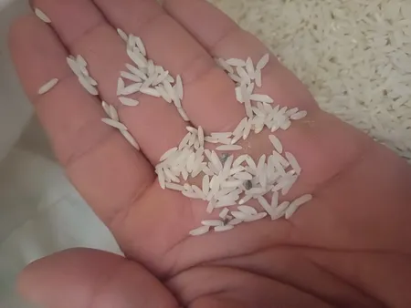 برنج هاشمی فوق اعلا مهمان نواز - 10 کیلوگرم